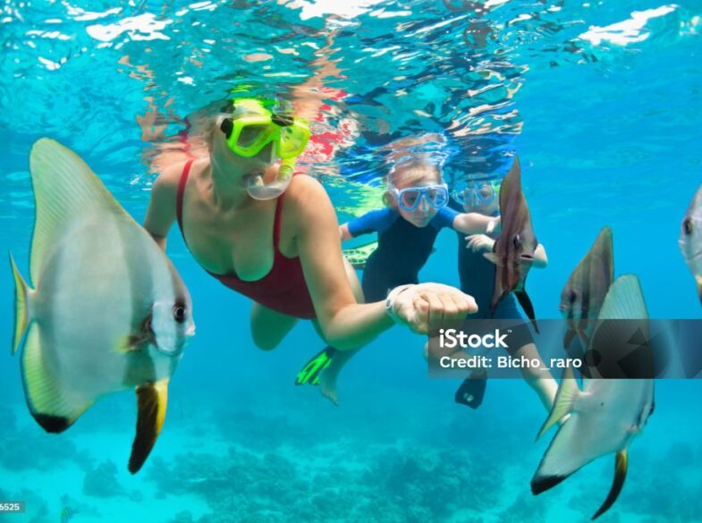 istockphoto-1182906525-1024x1024 Happy family - mother, kids in snorkeling mask dive underwater, explore tropical fishes in coral reef sea pool. Travel active lifestyle, beach adventure, swimming activity on summer holiday with child